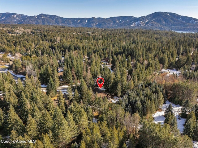 birds eye view of property with a mountain view and a view of trees