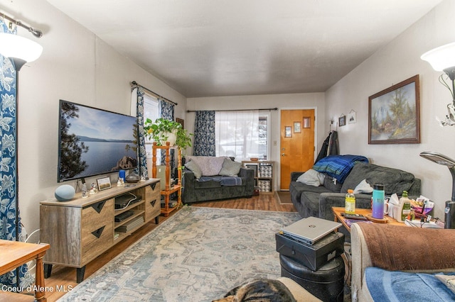 living room featuring hardwood / wood-style floors