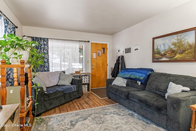 living room with wood-type flooring