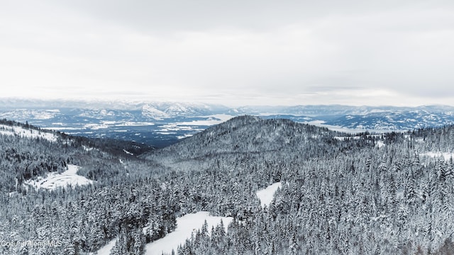 view of mountain feature