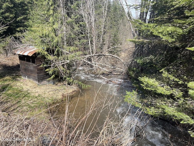 view of local wilderness with a water view