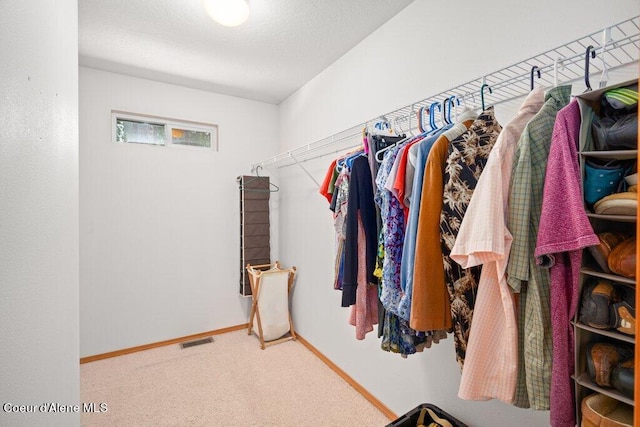 walk in closet featuring carpet flooring