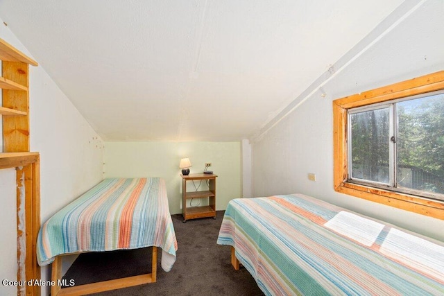 bedroom with lofted ceiling and dark carpet