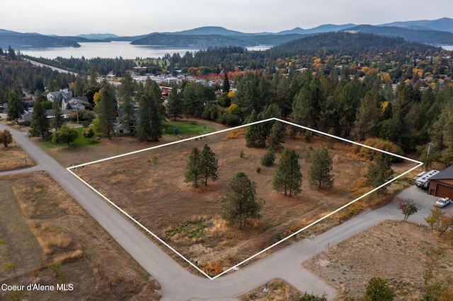 bird's eye view featuring a forest view and a mountain view