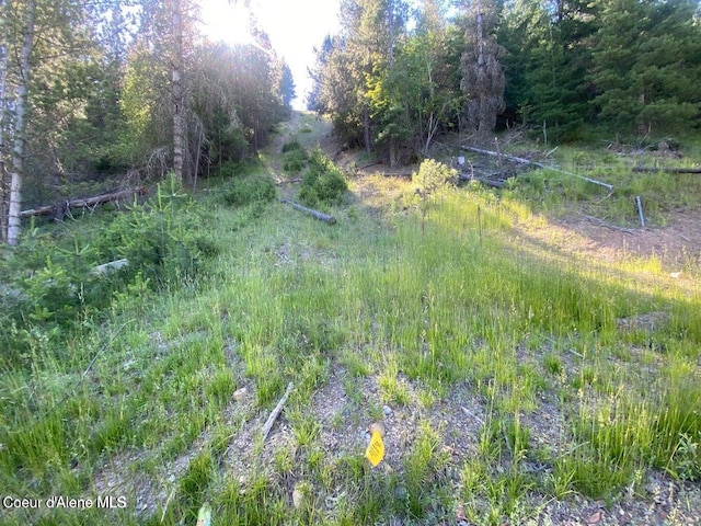 Listing photo 2 for 330 Lower Page Rd, Smelterville ID 83868