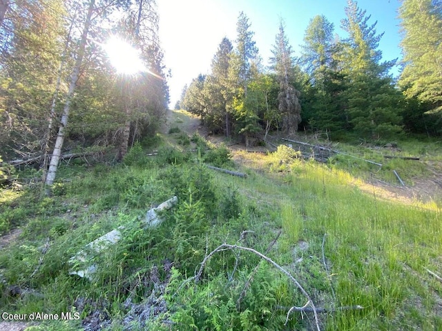 Listing photo 3 for 330 Lower Page Rd, Smelterville ID 83868