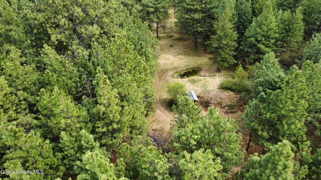 28590 S Fir Rd, Saint Maries, ID 83861 - photo 23
