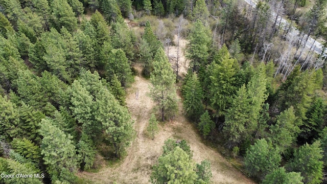 28590 S Fir Rd, Saint Maries, ID 83861 - photo 24