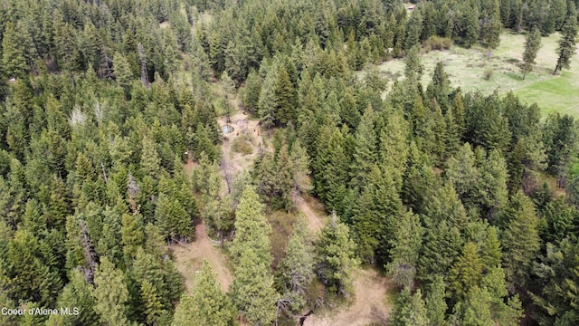 28590 S Fir Rd, Saint Maries, ID 83861 - photo 26