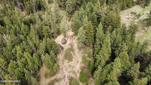 28590 S Fir Rd, Saint Maries, ID 83861 - photo 27