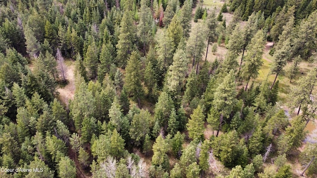 28590 S Fir Rd, Saint Maries, ID 83861 - photo 28
