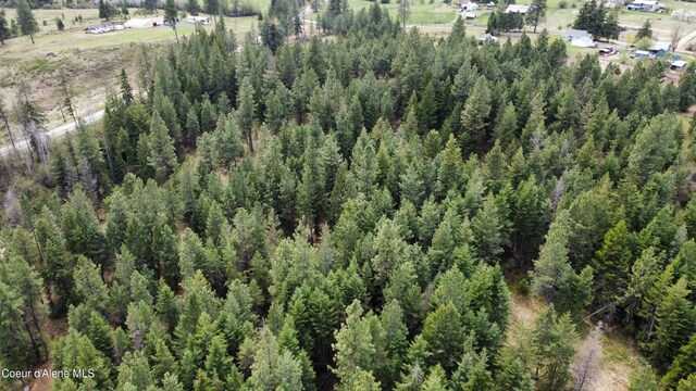 28590 S Fir Rd, Saint Maries, ID 83861 - photo 29