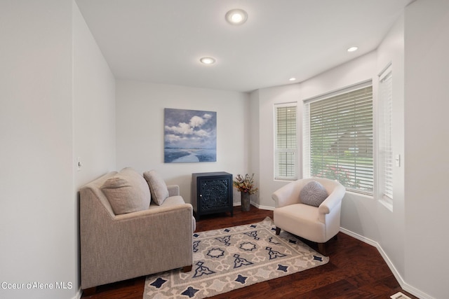 living area featuring dark wood-type flooring