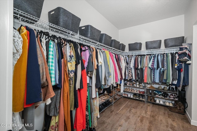 spacious closet featuring hardwood / wood-style flooring