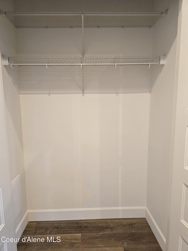 walk in closet featuring dark wood-type flooring