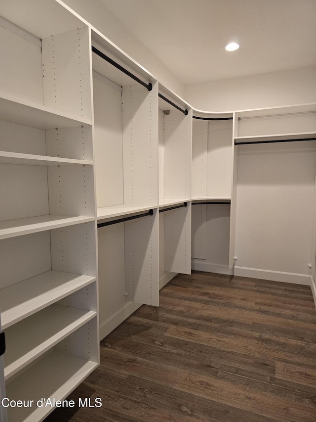 spacious closet featuring dark hardwood / wood-style flooring