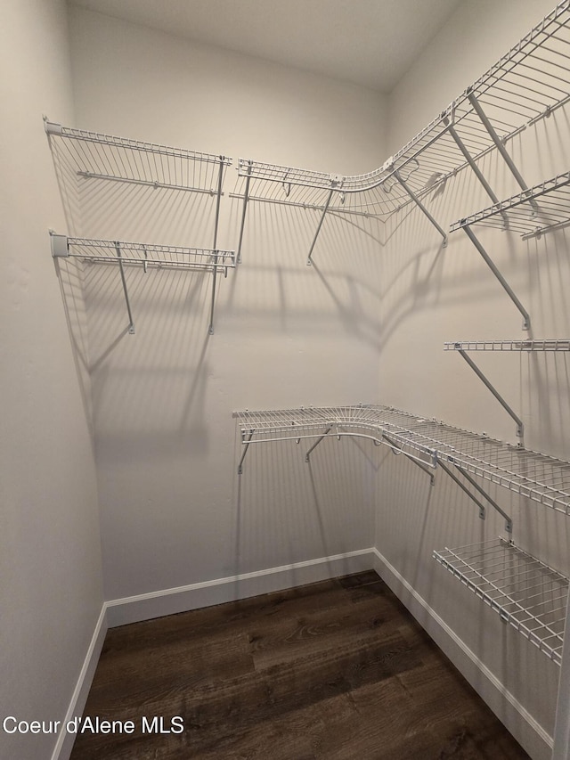 spacious closet with dark wood-type flooring