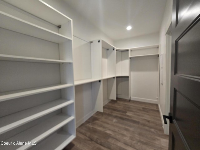 spacious closet with dark wood-type flooring