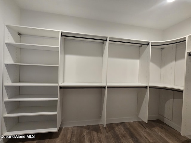 spacious closet with dark hardwood / wood-style floors