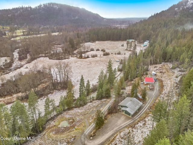 birds eye view of property featuring a mountain view