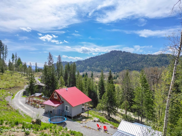 mountain view with a forest view