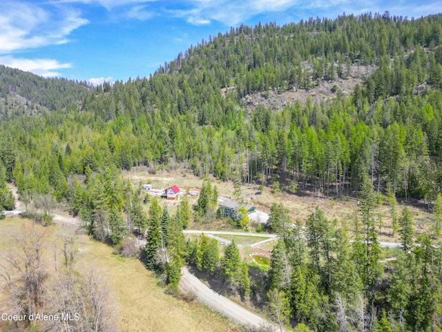 bird's eye view with a forest view