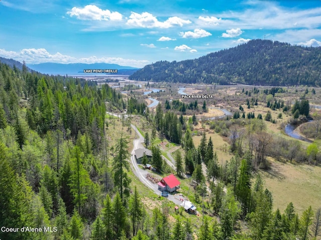 aerial view featuring a forest view and a mountain view