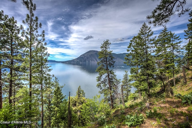 view of water feature featuring a mountain view