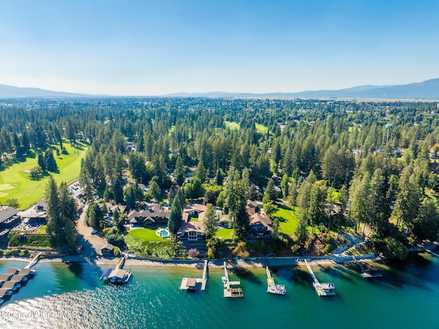 birds eye view of property with a water and mountain view