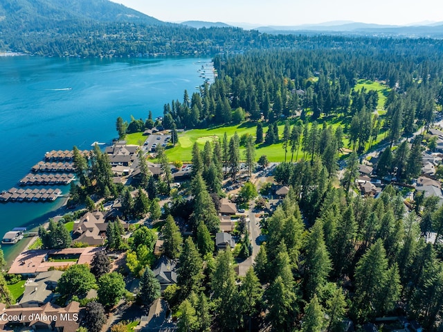 birds eye view of property with a water and mountain view