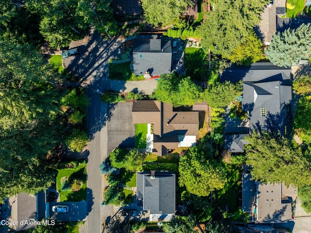 aerial view