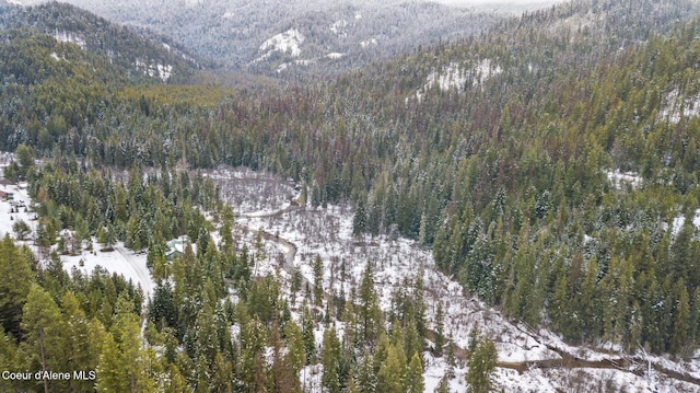842 Eastriver Spur, Priest River, ID 83856 - view of mountain backdrop featuring a forest