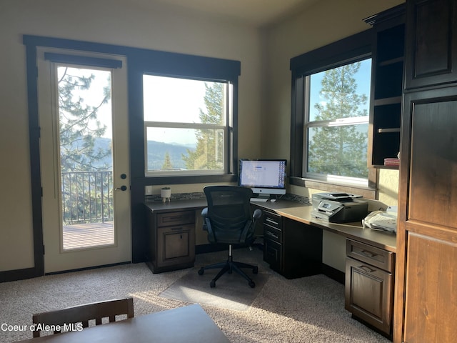 home office featuring light colored carpet and a healthy amount of sunlight