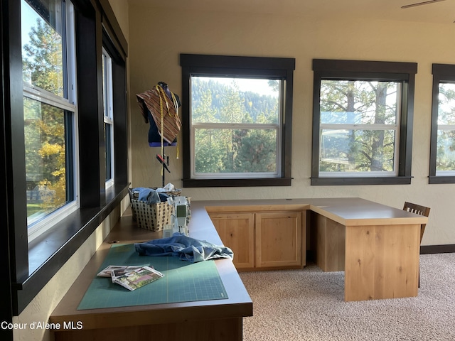 carpeted home office featuring a healthy amount of sunlight