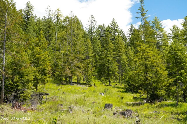 4333 Old Highway Two Loop, Moyie Springs, ID 83845 - view of woods