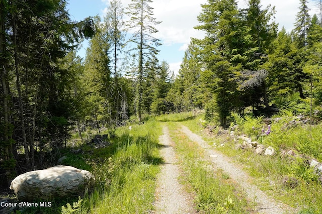 4333 Old Highway Two Loop, Moyie Springs, ID 83845 - view of street featuring a wooded view