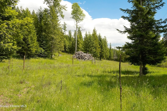 4333 Old Highway Two Loop, Moyie Springs, ID 83845 - view of undeveloped land