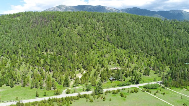 4333 Old Highway Two Loop, Moyie Springs, ID 83845 - view of mountain backdrop featuring a forest