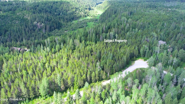 1599 Saddleback Dr, Naples, ID 83805