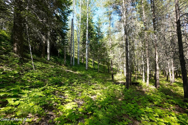 1599 Saddleback Dr, Naples, ID 83805