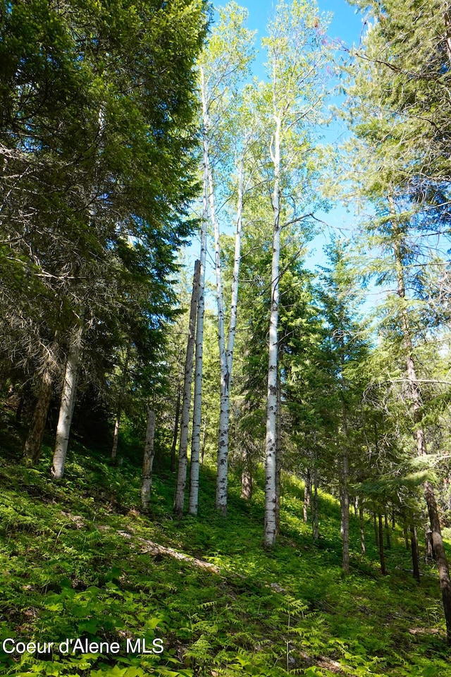 1599 Saddleback Dr, Naples, ID 83805