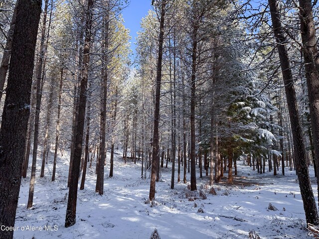 1599 Saddleback Dr, Naples, ID 83805 - photo 21