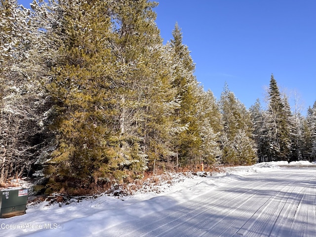 1599 Saddleback Dr, Naples, ID 83805