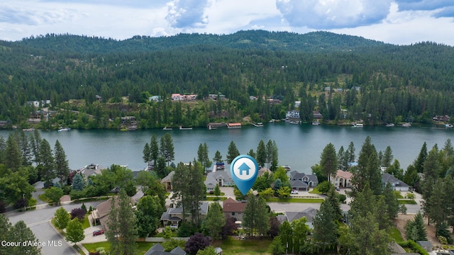 drone / aerial view featuring a forest view and a water and mountain view