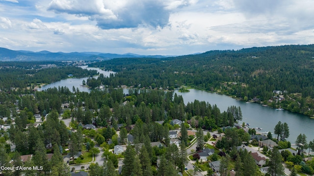 birds eye view of property featuring a wooded view and a water and mountain view