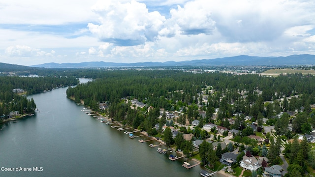 birds eye view of property with a wooded view and a water and mountain view