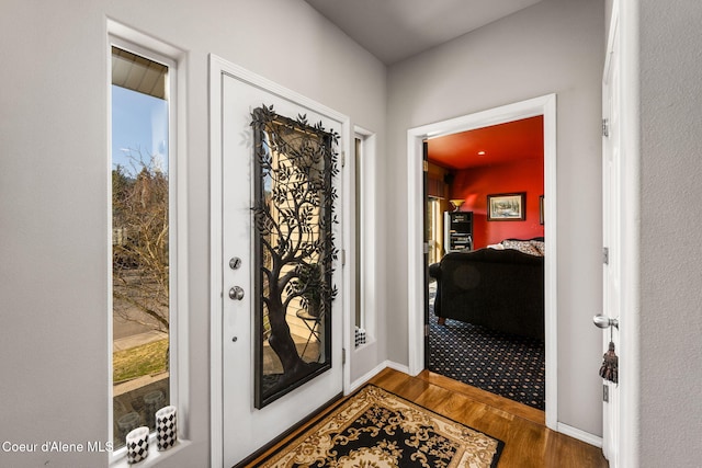 entrance foyer with baseboards and wood finished floors