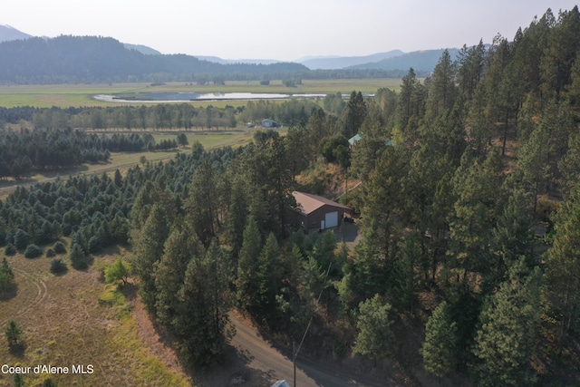 bird's eye view featuring a mountain view and a rural view