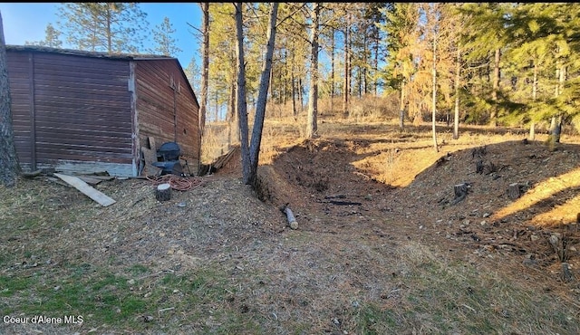 view of yard featuring an outdoor structure