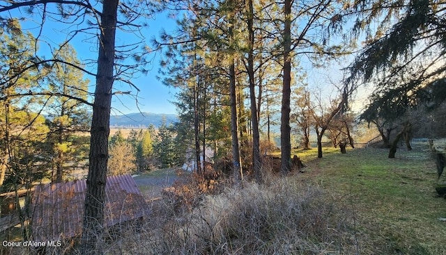 view of nature with a mountain view